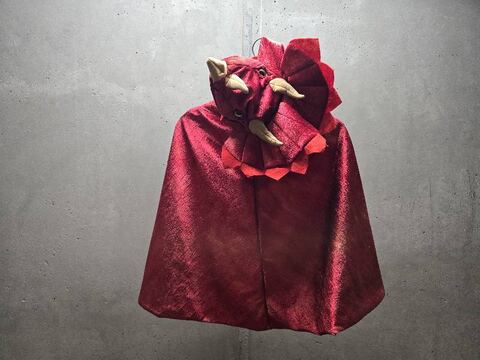 Déguisement Cape de Tricératops rouge taille 4-5 ans