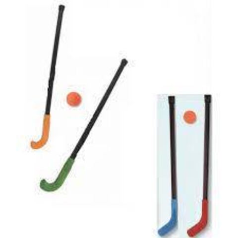 Hockey s/ terre  bleu - rouge