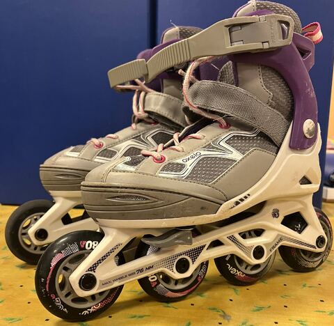 Rollers violet-gris