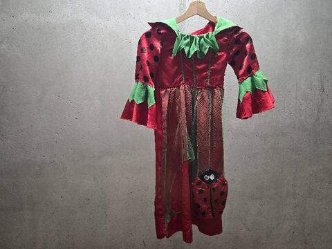 Déguisement coccinelle