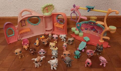 Cirque Pet Shop