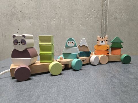 Petit train Janod