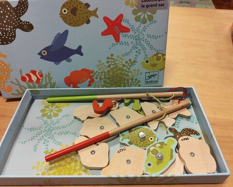 Magnetic's fishing tropic